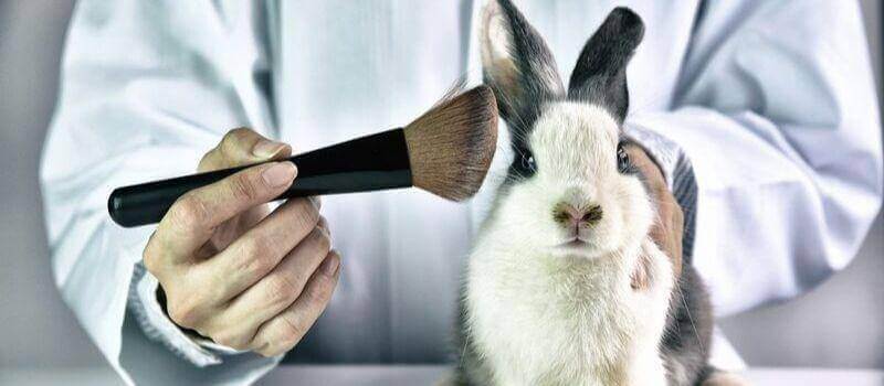7 Reasons To Switch To Cruelty-Free Products